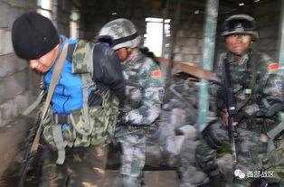 和平使命,构建和谐世界的坚实基石