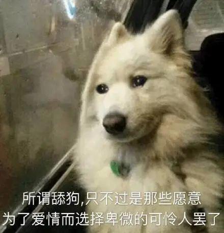 不当舔狗后，老公急哭了,情感纠葛背后的家庭危机